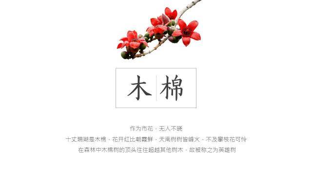 毛筆牌匾字體_什么字體適合做牌匾_牌匾用什么字體最好