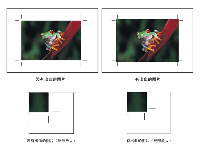 正常牌匾的尺寸多少_標準牌匾尺寸_牌匾 尺寸