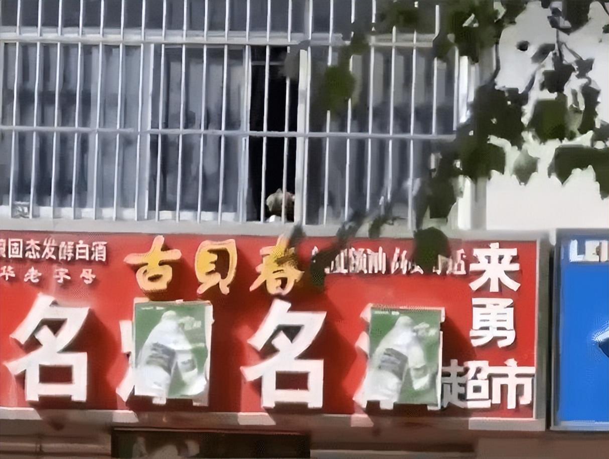 淘寶店鋪招牌ps素材_店鋪招牌圖片素材_芊妃美店鋪招牌圖片