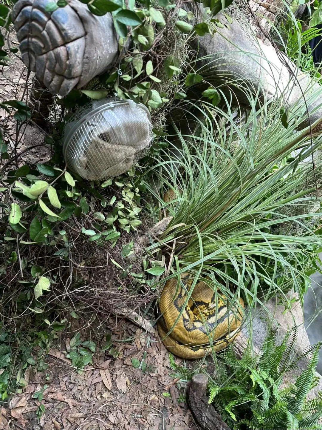 木牌小掛件圖片_小木牌_木牌小精靈